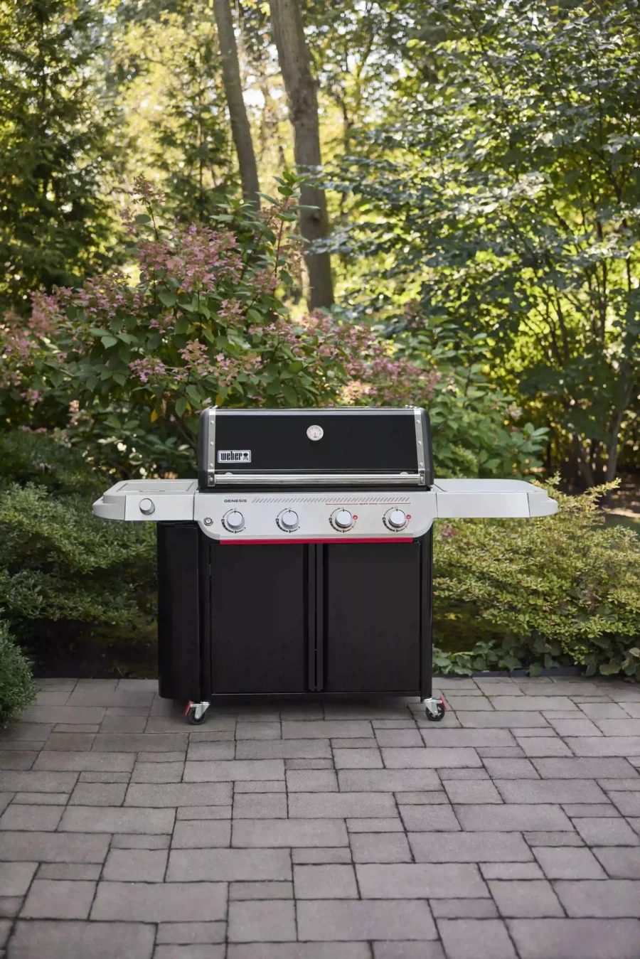 Weber® Genesis EP-435 Black (NG) - Image 5